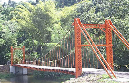 marianne bridge